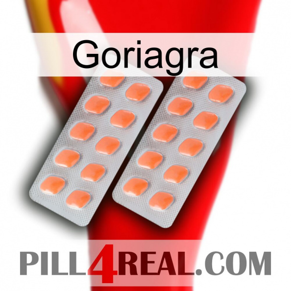 Goriagra 27.jpg